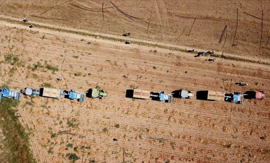 TEKNOFEST kapsamındaki tarımsal teknoloji yarışmalarına başvurular 28 Şubat'a kadar yapılabilecek