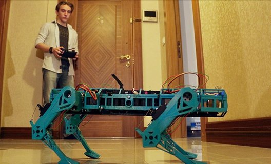 Lise öğrencisi farklı iş kollarında kullanıma uygun 'robot köpek' geliştirdi