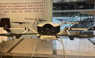 Hidrojen yakıt pilli dronlar uzun uçuş süresi ile yakıt ve zaman tasarrufu sağlıyor