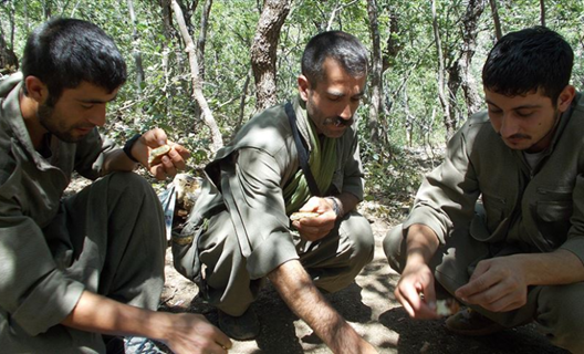 Metropollerde saldırı yapmak üzere eğitilen PKK'lı 4 terörist tutuklandı